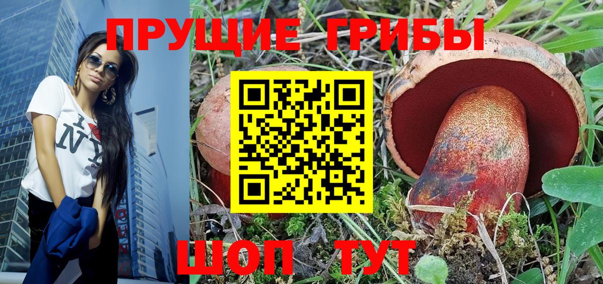 Галлюциногенные грибы Cubensis Изобильный